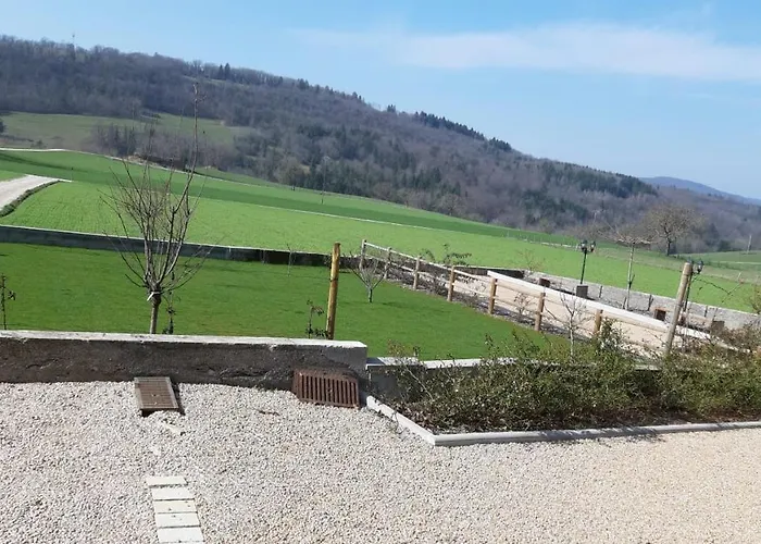 Les violettes du Bugey